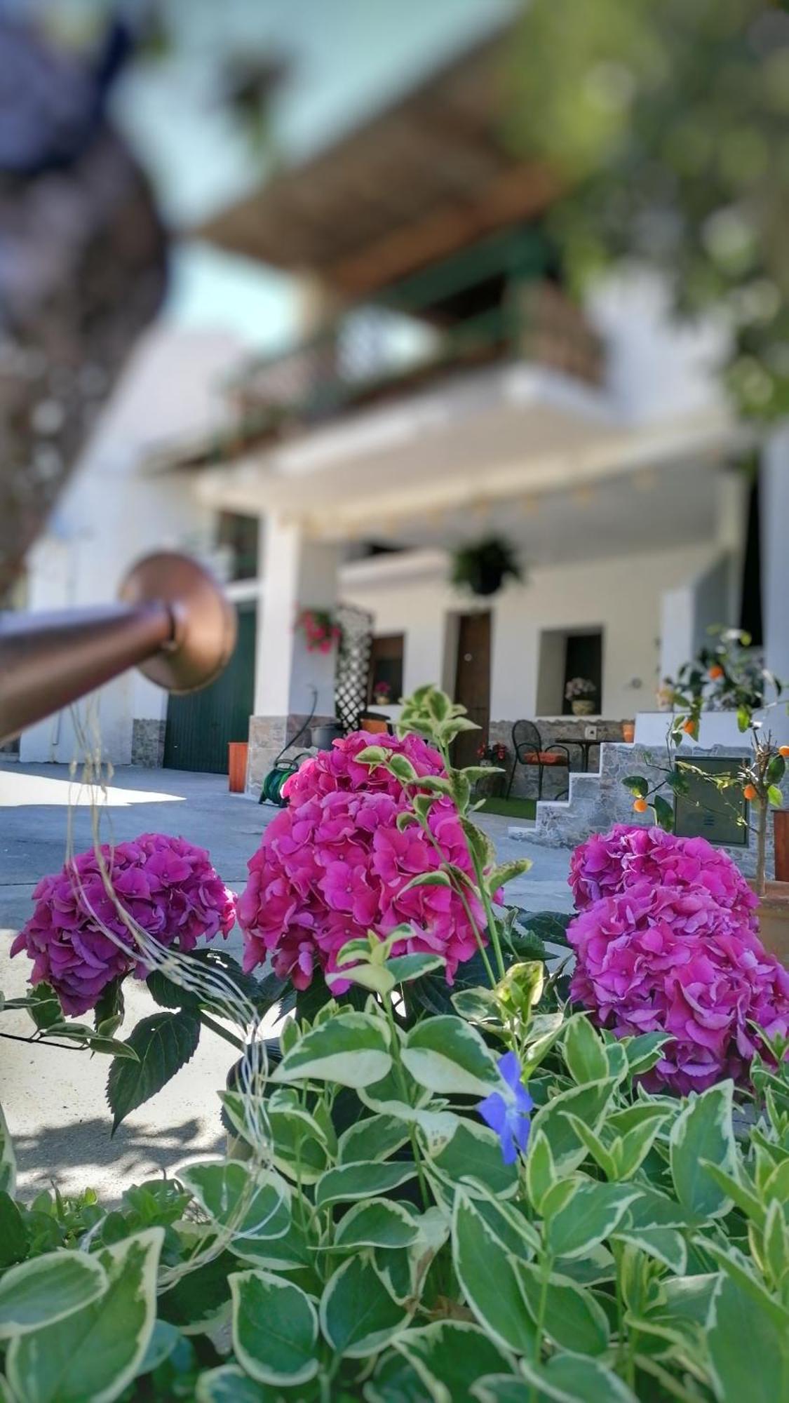 Apartamento La Casa De La Abuela Pinos Genil Exterior foto