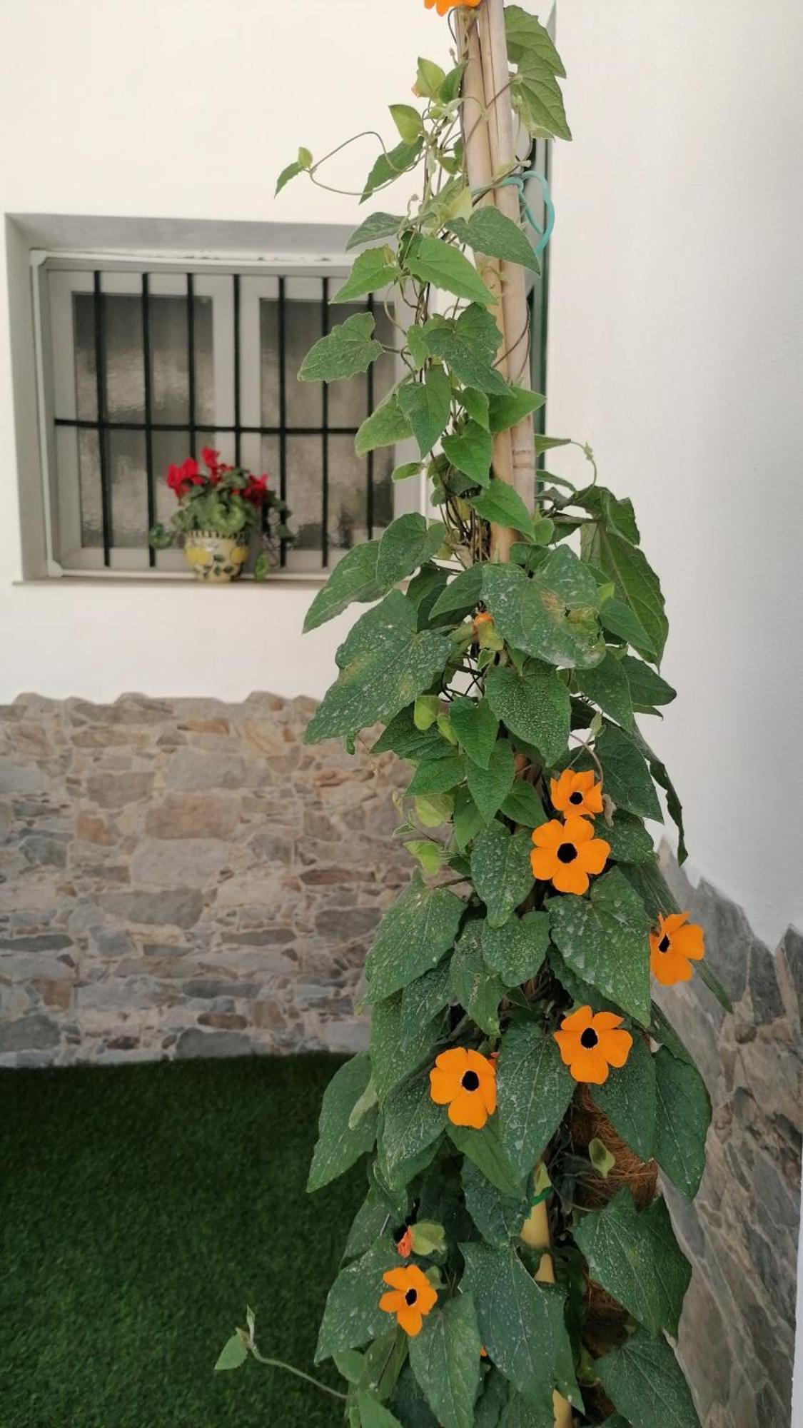 Apartamento La Casa De La Abuela Pinos Genil Exterior foto