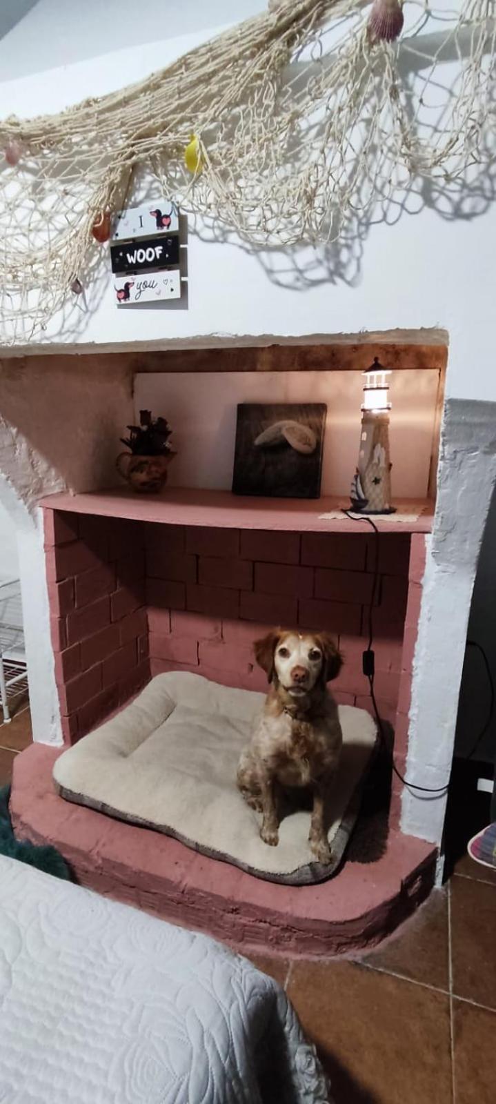 Apartamento La Casa De La Abuela Pinos Genil Exterior foto